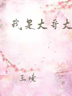 我是大哥大下载