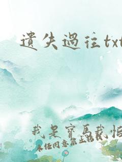 遗失过往txt