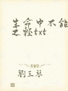 生命中不能承受之轻txt