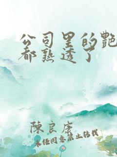 公司里的艳妇们都熟透了