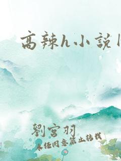 高辣h小说网