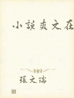 小说爽文在线