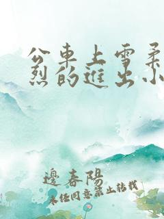 公车上雪柔被猛烈的进出小说