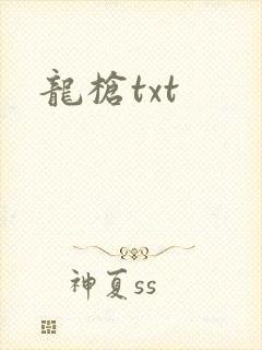 龙枪txt