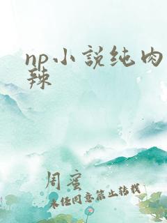 np小说纯肉高辣
