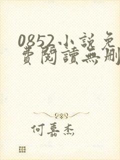 0852小说免费阅读无删减