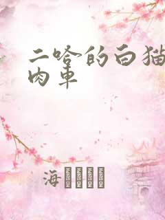二哈的白猫师尊肉车