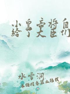小皇帝将自己赏给了大臣们