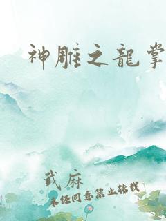 神雕之龙掌门