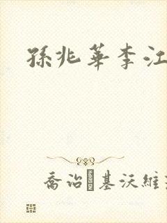 孙兆华李江小说