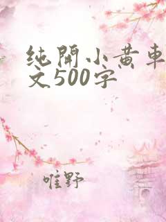 纯开小黄车小短文500字
