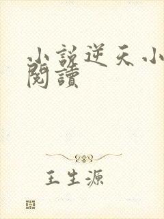小说逆天小医仙阅读