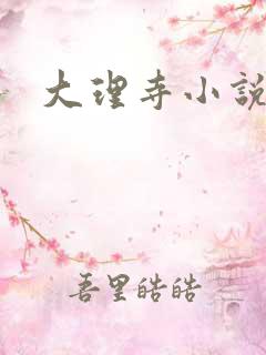 大理寺小说