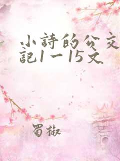 小诗的公交车日记1一15文