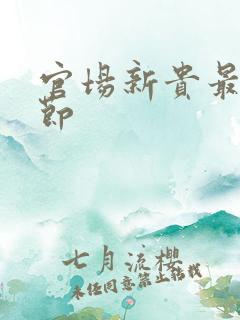 官场新贵最新章节