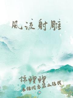 风流射雕