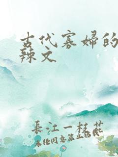古代寡妇的np辣文