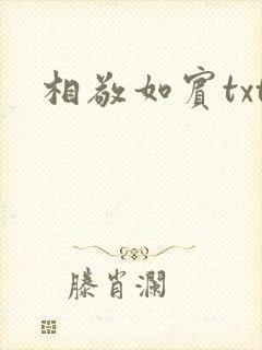 相敬如宾txt