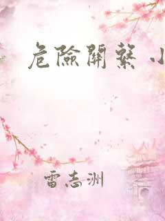 危险关系 小说