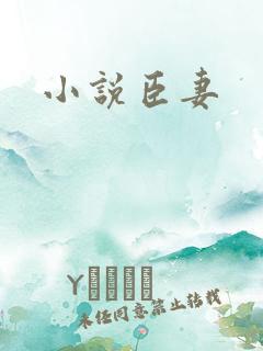 小说臣妻