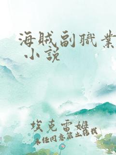 海贼副职业天王 小说