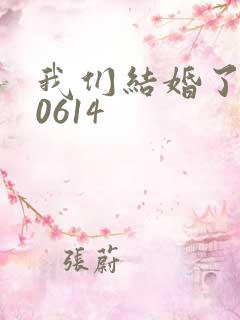 我们结婚了130614