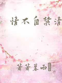 情不自禁清穿
