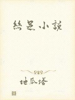 丝足小说