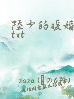 陆少的暖婚新妻txt