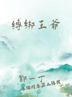 缚绑王爷
