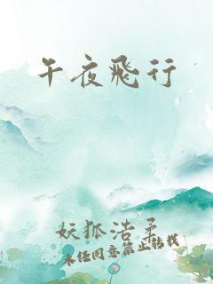 午夜飞行