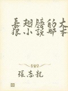 长翅膀的大尾巴狼小说哪本最好看