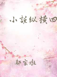 小说纵横四海
