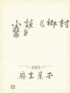 小说《乡村小傻医》