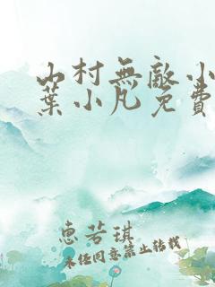 山村无敌小医仙叶小凡免费阅读