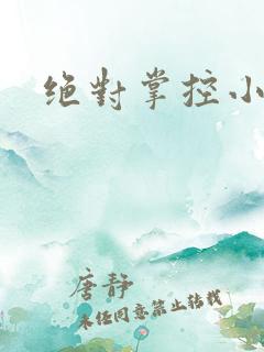 绝对掌控小说