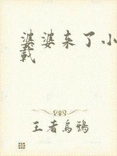 婆婆来了小说下载