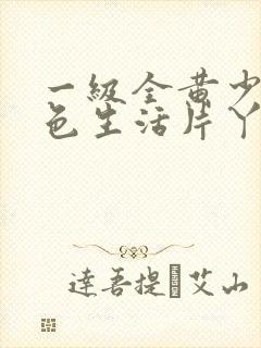 一级全黄少妇性色生活片丫
