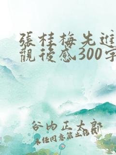 张桂梅先进事迹观后感300字