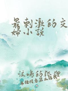 最刺激的交换夫妇小说
