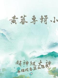 黄蓉专辑小说