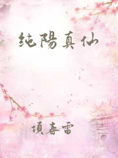 纯阳真仙