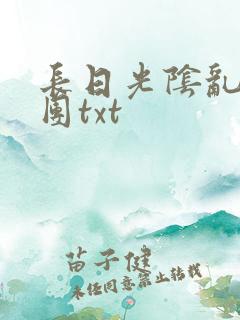 长日光阴乱作一团txt