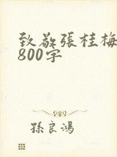 致敬张桂梅作文800字