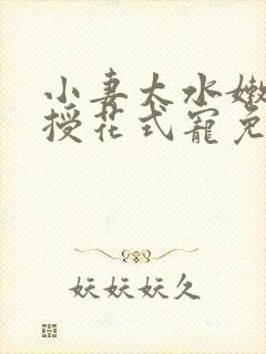 小妻太水嫩陆教授花式宠免费阅读 小说