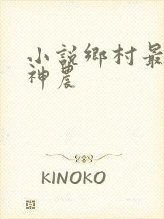 小说乡村最强小神农