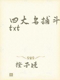 四大名捕斗将军txt