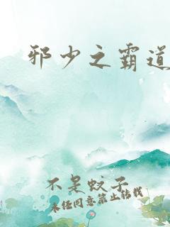 邪少之霸道娇妻