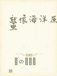 就像海洋原谅了鱼