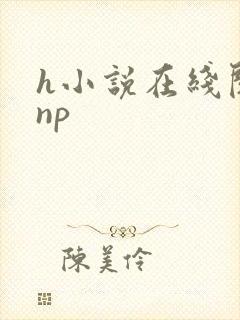 h小说在线阅读np